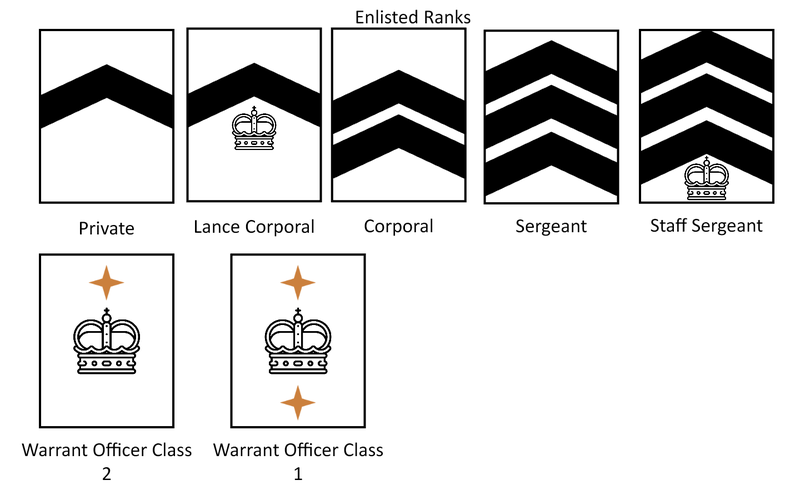 Defence Corps enlisted rank insignia