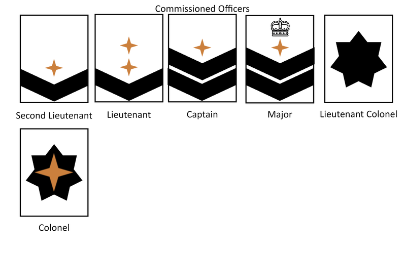 Defence Corps officer rank insignia